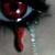 :iconcrimson-v-black: