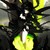 :iconcrimsonbishoprezenox: