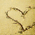 :iconcrimsondreams13: