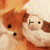:iconcrimsonfoxtails: