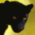 :iconcrimsonjewel83: