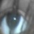 :iconcrimsonkoala: