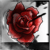 :iconcrimsonrosepetals: