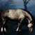 :iconcrimsonstarstock: