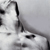 :iconcrimsonxsun: