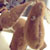 :iconcristian78: