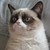 :iconcristianshamy: