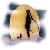 :iconcristina-edelman: