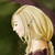 :iconcristina-hernandez: