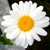 :iconcristione: