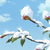 :iconcriterioncraze: