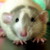 :iconcritterchick: