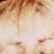 :iconcrobarcandi: