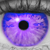 :iconcrocketa: