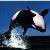 :iconcrocoto:
