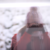 :iconcrocstar764: