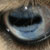 :iconcrocuta: