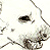 :iconcrocutacrocuta:
