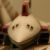 :iconcronus-vixen: