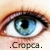 :iconcropca: