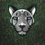 :iconcropro: