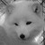 :iconcrossmyheart4: