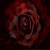 :iconcrossvant: