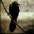 :iconCROW-of-CATASTROPHE: