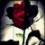 :iconcrowface: