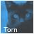 :iconcrowfeather-fanclub: