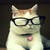 :iconcrowild: