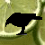 :iconcrowlime: