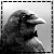 :iconcrowofachill: