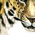 :iconcrowshadow: