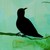 :iconcrpaintings: