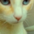 :iconcruciaremors: