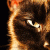 :iconcrucify-sorrow:
