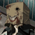 :iconcrufl: