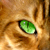 :iconcruiserkid:
