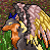 :iconcrunchward: