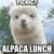 :iconcrunchysammichsbbbf: