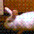 :iconcrusaderat2002: