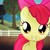 :iconcrusaders641: