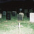 :iconcrushed--daisies: