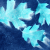 :iconcrushed-rose: