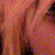 :iconcrusher0508: