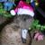 :iconcrutchfield-creative: