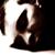 :iconcruxegrafx: