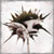 :iconcruz-art: