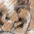 :iconcrvaggio: